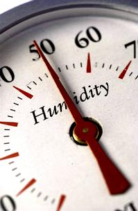 home dehumidification system, Boston, Foxboro MA